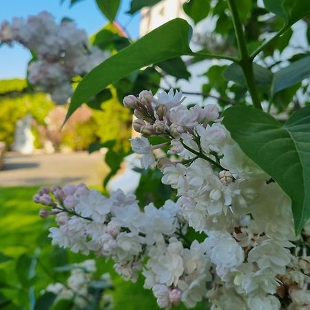 Vila Folwark Leszczynowka Srebrna Góra Exteriér fotografie
