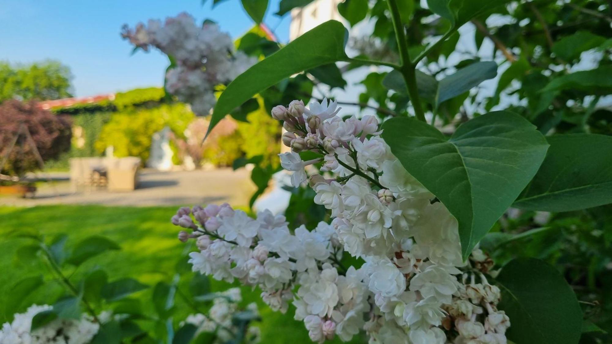 Vila Folwark Leszczynowka Srebrna Góra Exteriér fotografie