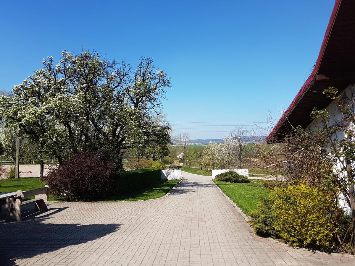 Vila Folwark Leszczynowka Srebrna Góra Exteriér fotografie
