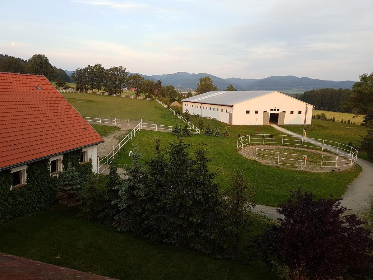 Vila Folwark Leszczynowka Srebrna Góra Exteriér fotografie